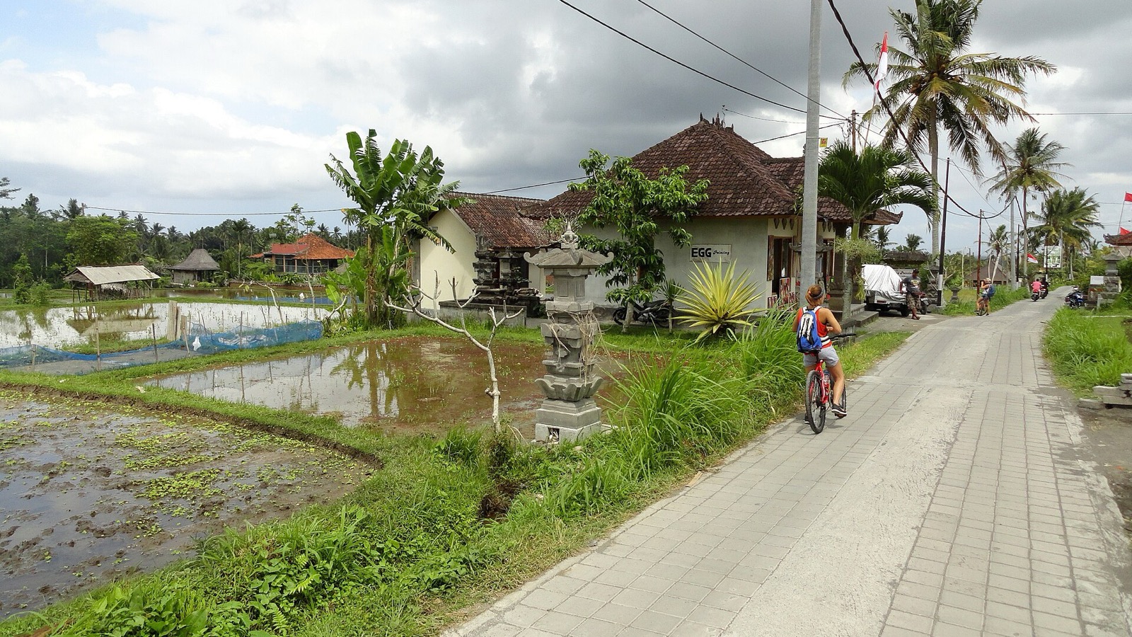 A Morning in Ubud, Bali: Dawn Mist on Campuhan Ridge Walk and the Rainforest Whispers of Tegalalang