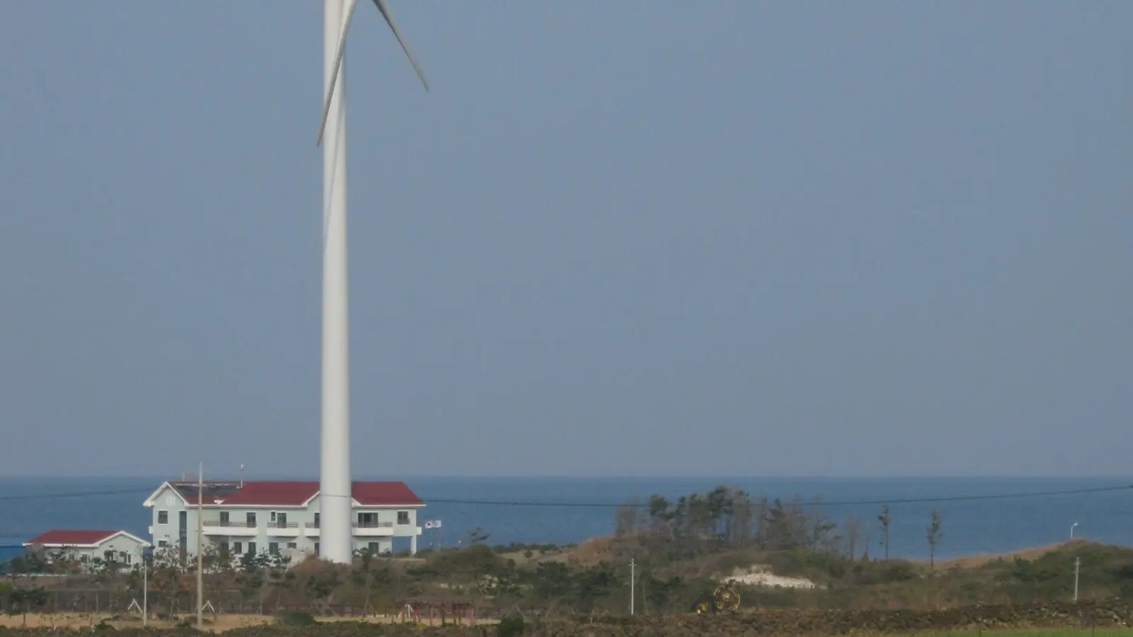 제주 돌담 독채 스테이 & 해안 드라이브 완벽 바이블: 애월부터 협재, 렌터카 보험과 흑돼지 영수증 검증
