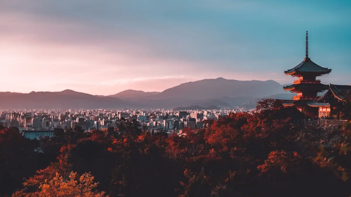 새벽녘 인적이 드문 고즈넉한 시간대에 바람에 서걱거리는 사가노 아라시야마 대나무 숲길