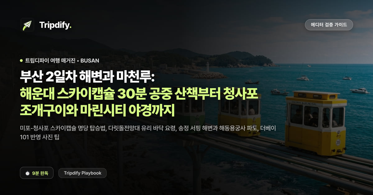부산 2일차 해변과 마천루: 해운대 스카이캡슐 30분 공중 산책부터 청사포 조개구이와 마린시티 야경까지