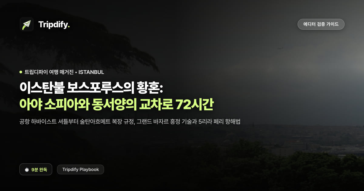 이스탄불 여행 코스: 아야소피아와 보스포루스 2박3일
